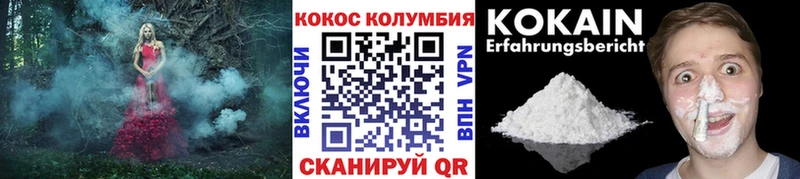Cocaine Эквадор  mega ссылки  Нижнеудинск 