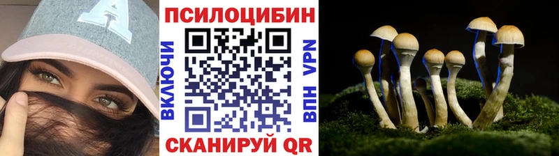 даркнет сайт  Нижнеудинск  Псилоцибиновые грибы MAGIC MUSHROOMS 