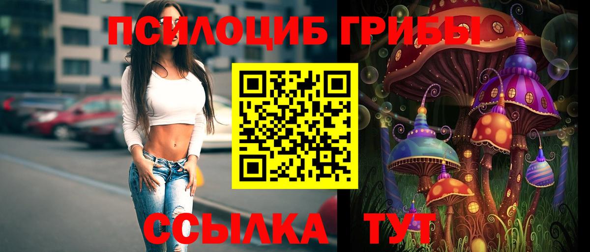 Нижнеудинск  Псилоцибиновые грибы ЛСД  Вход с VPN 